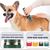 Tondeuse électrique pour chien et chat, Tondeuse Pro Chien/Chat Poil Long