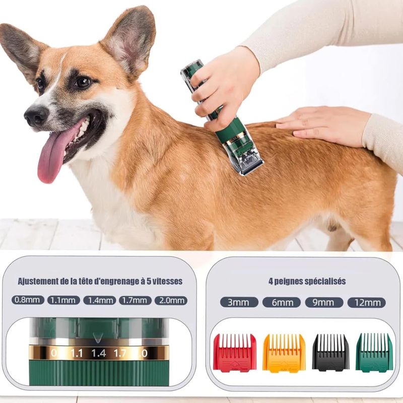 Tondeuse électrique pour chien et chat, Tondeuse Pro Chien/Chat Poil Long