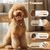 4 en 1 Tondeuse Chien,Sans Fil Silencieuse Fondeuse Toilettage pour Animaux