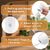 4 en 1 Tondeuse Chien,Sans Fil Silencieuse Fondeuse Toilettage pour Animaux