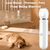 4 en 1 Tondeuse Chien,Sans Fil Silencieuse Fondeuse Toilettage pour Animaux