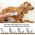Tondeuse 4 en 1 Chien/Chat USB - Silencieuse, 4 Têtes Multifonctions (Gris)