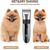 Tondeuse Chien/Chat Pro - Sans Fil, Imperméable, Lame Céramique & LED