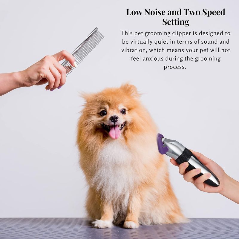 Tondeuse Chien/Chat Pro - Sans Fil, Imperméable, Lame Céramique & LED