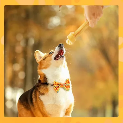 ZENITHMIND Os à mâcher avec noeud pour chiens de taille moyenne et grande