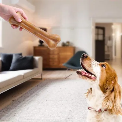 ZENITHMIND Os à mâcher pour chien 20 cm × 6 pièces