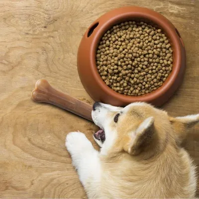 ZENITHMIND Os à mâcher pour chien 20 cm × 6 pièces