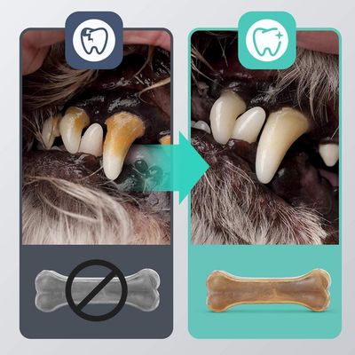ZENITHMIND Os à mâcher pour chien 20 cm × 6 pièces