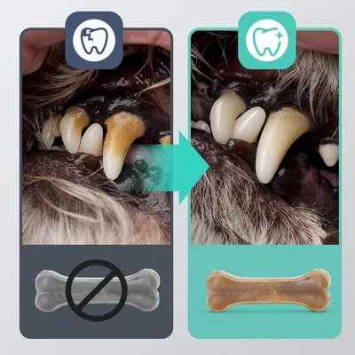 ZENITHMIND Os à mâcher pour chien 20 cm × 6 pièces