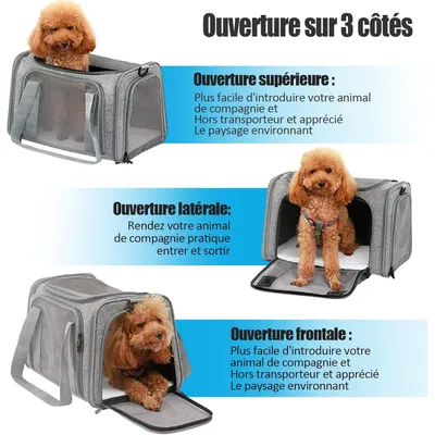 ZENITHMIND Transport Chat Chien