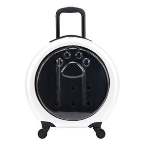 Cage De Transport Pour Chat & Petit Chien TEDDY M - Ventilée, Gris Foncé, Portes Amovibles - 56x37x37 Cm
