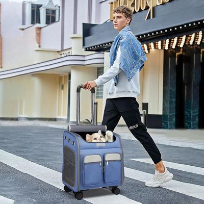 ZENITHMIND Dos de Transport pour Chat et Chien Poussette pour Animaux