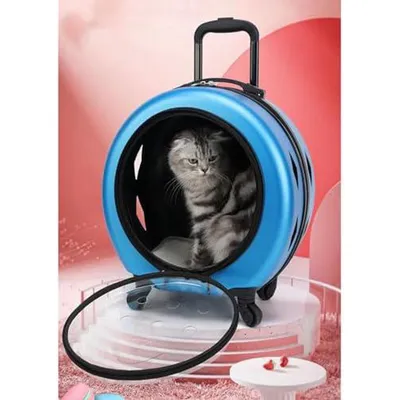 ZENITHMIND Valise de Voyage pour Animaux de Compagnie