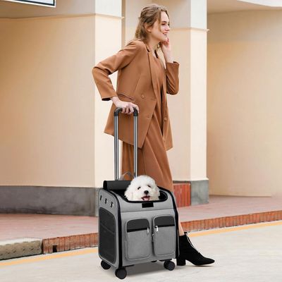 ZENITHMIND Dos de Transport pour Chat avec Roues