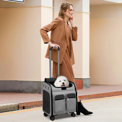 ZENITHMIND Dos de Transport pour Chat avec Roues