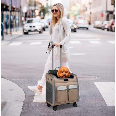 ZENITHMIND Dos de Transport pour Chat avec Roues