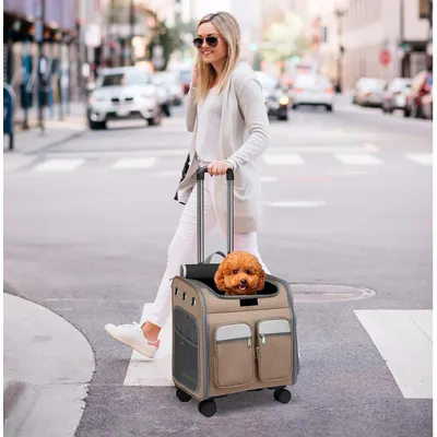 ZENITHMIND Dos de Transport pour Chat avec Roues