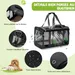ZENITHMIND Transport pour Chat et Petit Chien(Noir Classique)