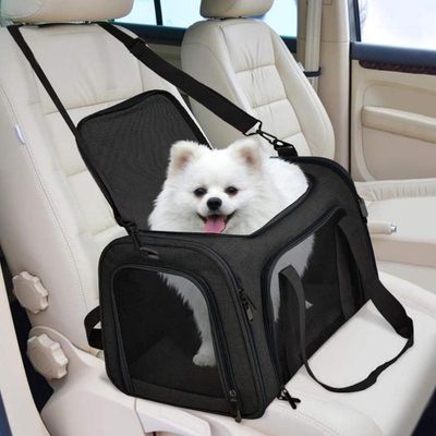 ZENITHMIND Transport Chat Chien