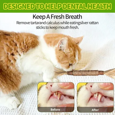 LovuPet 6 Pièces Bâtonnets Herbe à Chat,Jouets de Soins Dentaires pour Chat