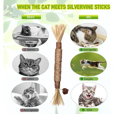 LovuPet 6 Pièces Bâtonnets Herbe à Chat,Jouets de Soins Dentaires pour Chat