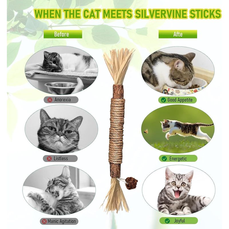 LovuPet 6 Pièces Bâtonnets Herbe à Chat,Jouets de Soins Dentaires pour Chat