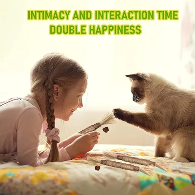 LovuPet 6 Pièces Bâtonnets Herbe à Chat,Jouets de Soins Dentaires pour Chat