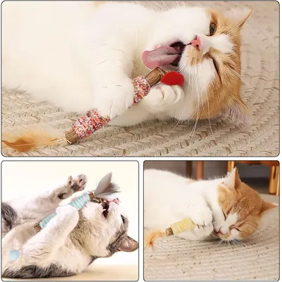 LovuPet Bâtonnets Herbe à Chat, Bâtonnets à Mâcher Baton Chat Jouets