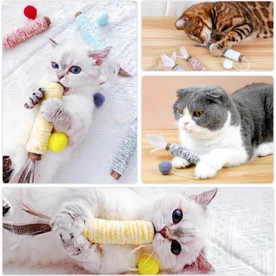 LovuPet Bâtonnets Herbe à Chat, Bâtonnets à Mâcher Baton Chat Jouets