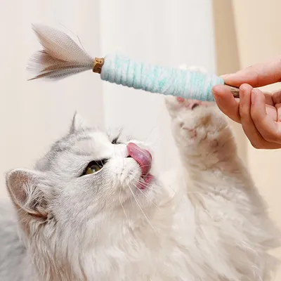 LovuPet Bâtonnets Herbe à Chat, Bâtonnets à Mâcher Baton Chat Jouets