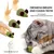 LovuPet 3 Pièces Boule Herbe a Chat, Jouet Chat Comestibles pour Chat