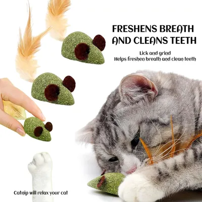 LovuPet 3 Pièces Boule Herbe a Chat, Jouet Chat Comestibles pour Chat
