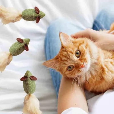 LovuPet 3 Pièces Boule Herbe a Chat, Jouet Chat Comestibles pour Chat