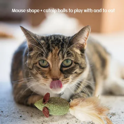 LovuPet 3 Pièces Boule Herbe a Chat, Jouet Chat Comestibles pour Chat