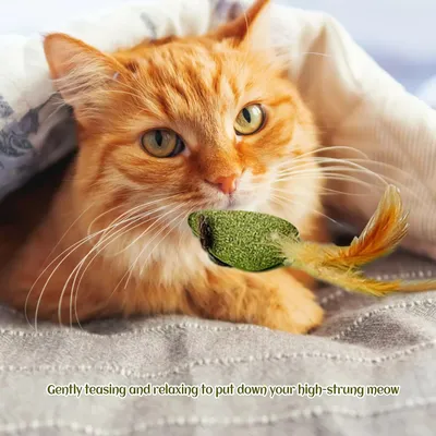 LovuPet 3 Pièces Boule Herbe a Chat, Jouet Chat Comestibles pour Chat