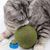 LovuPet Lot de 6 boules à chat-Brossez les dents de votre chat