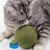 LovuPet Lot de 6 boules à chat-Brossez les dents de votre chat