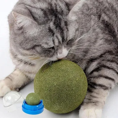 LovuPet Lot de 6 boules à chat-Brossez les dents de votre chat