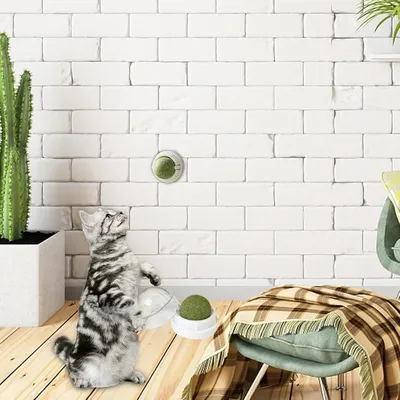 LovuPet Lot de 6 boules à chat-Brossez les dents de votre chat