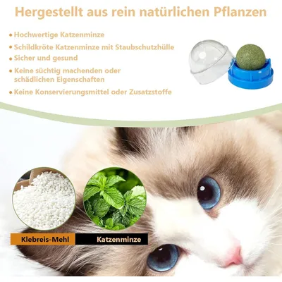 LovuPet Lot de 6 boules à chat-Brossez les dents de votre chat