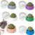 LovuPet Lot de 6 boules à chat-Brossez les dents de votre chat