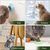 LovuPet 3 Pièces Boule Herbe a Chat,360 Degrés Boule d'herbe à Chat(Tortue)