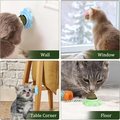 LovuPet 3 Pièces Boule Herbe a Chat,360 Degrés Boule d'herbe à Chat(Tortue)