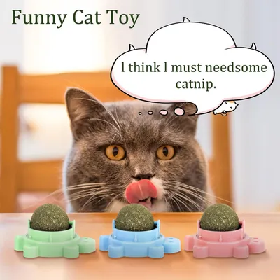 LovuPet 3 Pièces Boule Herbe a Chat,360 Degrés Boule d'herbe à Chat(Tortue)