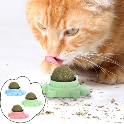 LovuPet 3 Pièces Boule Herbe a Chat,360 Degrés Boule d'herbe à Chat(Tortue)