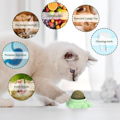 LovuPet 3 Pièces Boule Herbe a Chat,360 Degrés Boule d'herbe à Chat(Tortue)