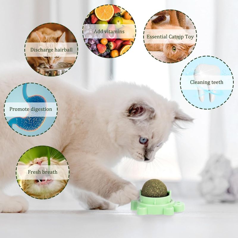 LovuPet 3 Pièces Boule Herbe a Chat,360 Degrés Boule d'herbe à Chat(Tortue)