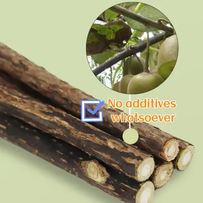 LovuPet 40pcs Bâtonnets à Mâcher pour Grincer des Dents - Jouets Molaires