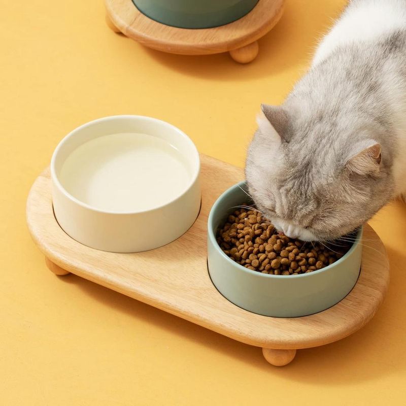 ZENITHMIND Bol en céramique haute pour nourriture et eau pour chat