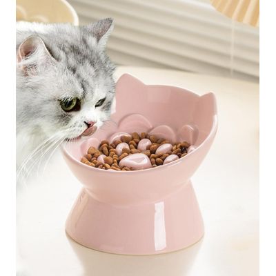 ZENITHMIND Bol Slow Food surélevé pour chat